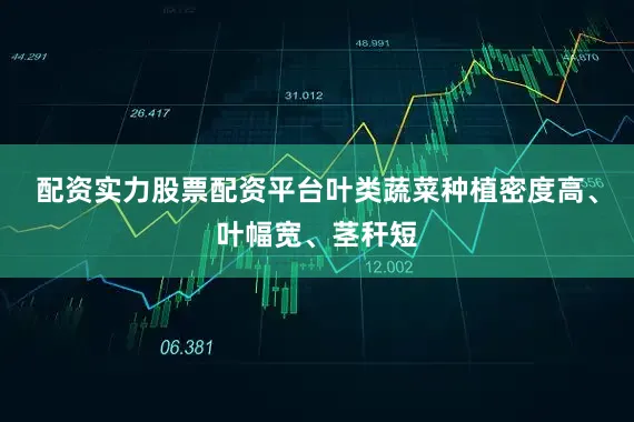 配资实力股票配资平台叶类蔬菜种植密度高、叶幅宽、茎秆短