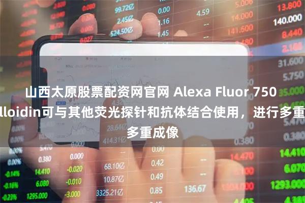 山西太原股票配资网官网 Alexa Fluor 750 Phalloidin可与其他荧光探针和抗体结合使用，进行多重成像