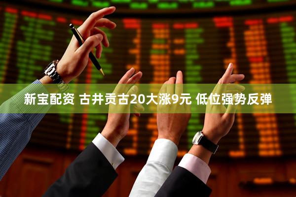新宝配资 古井贡古20大涨9元 低位强势反弹